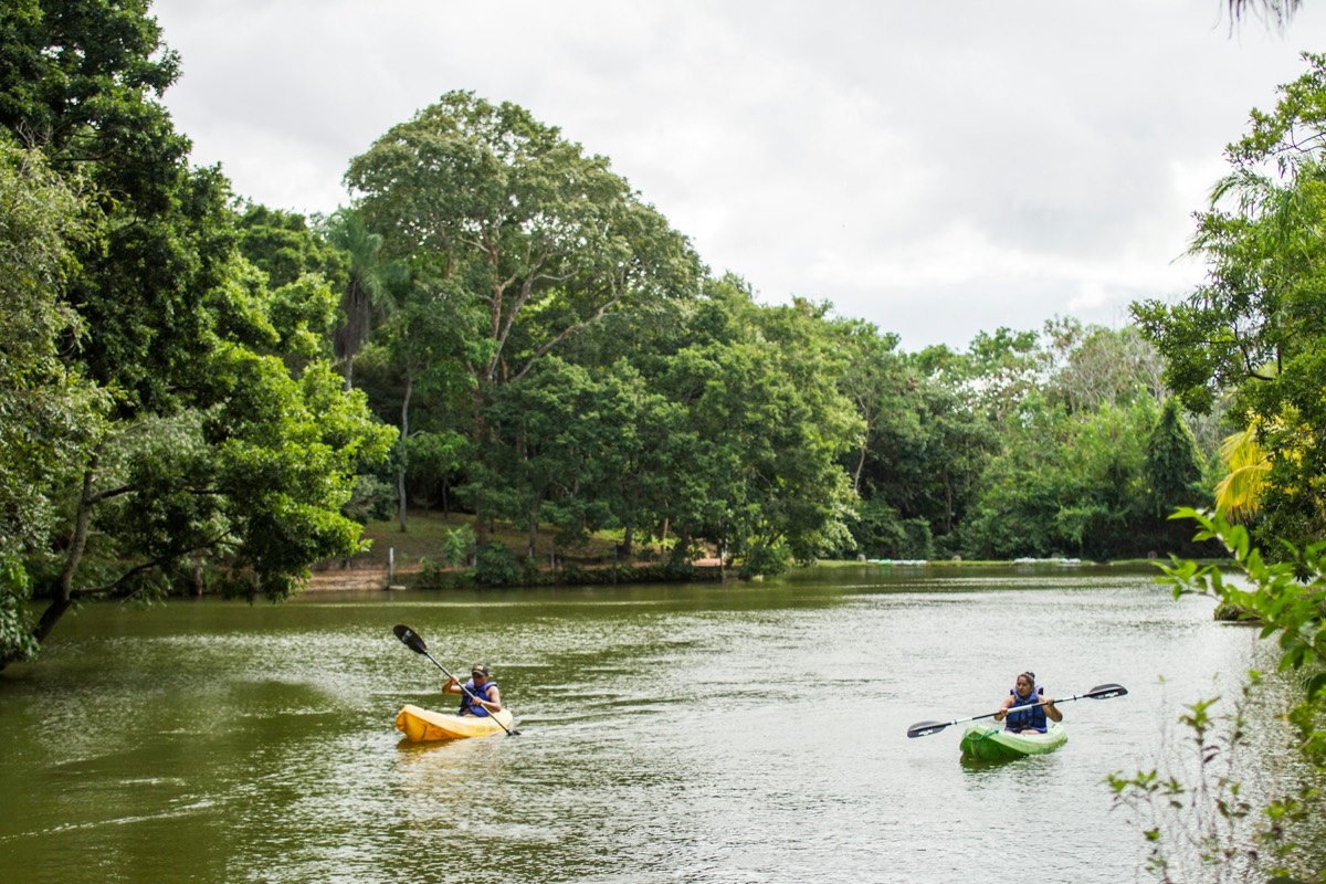 Rent a kayak in Houston at Paradise Cove Boat Ramp