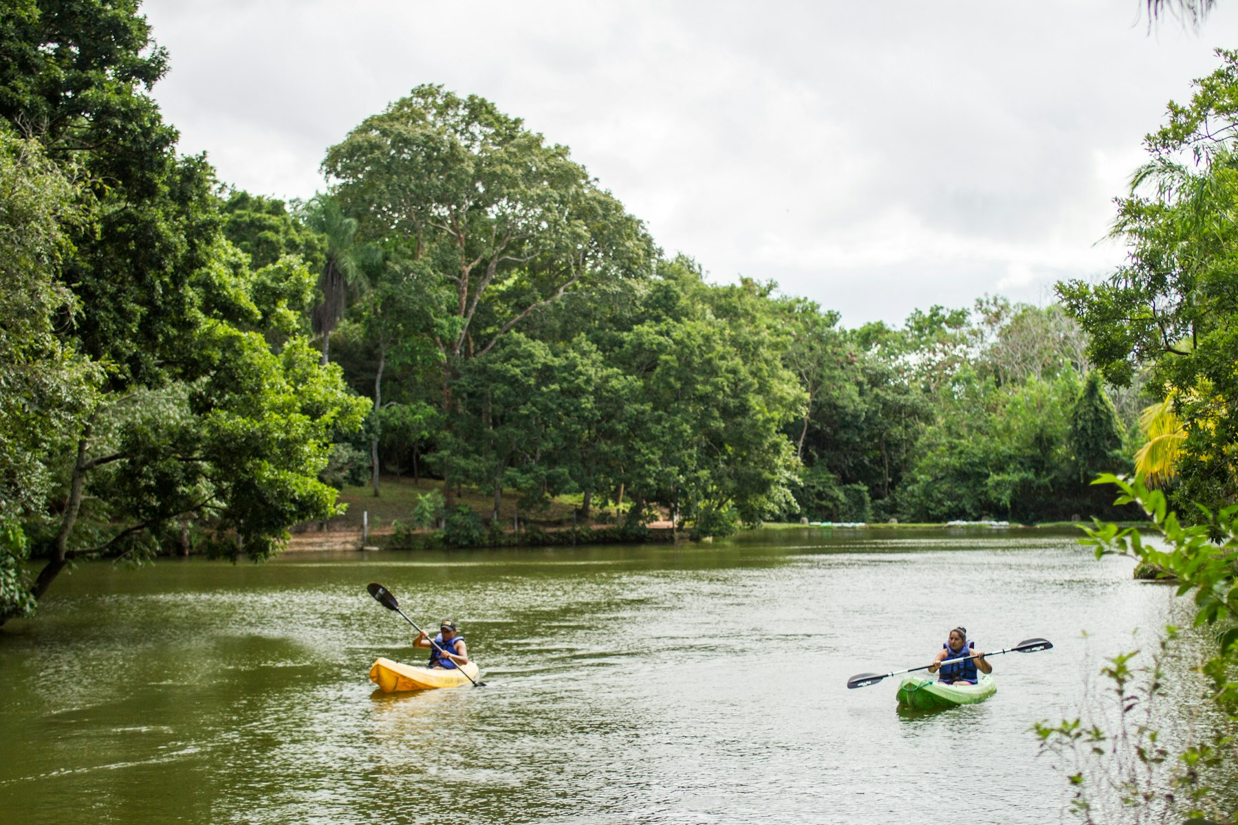Kayak